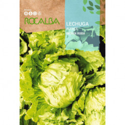 LECHUGA Batavia rubia