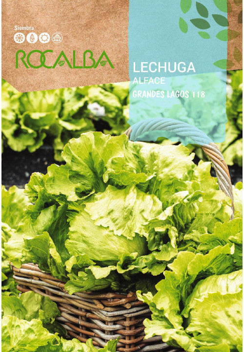 LECHUGA Grandes Lagos 118