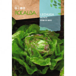 LECHUGA Reina de mayo