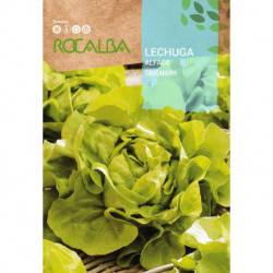 LECHUGA Trocadero