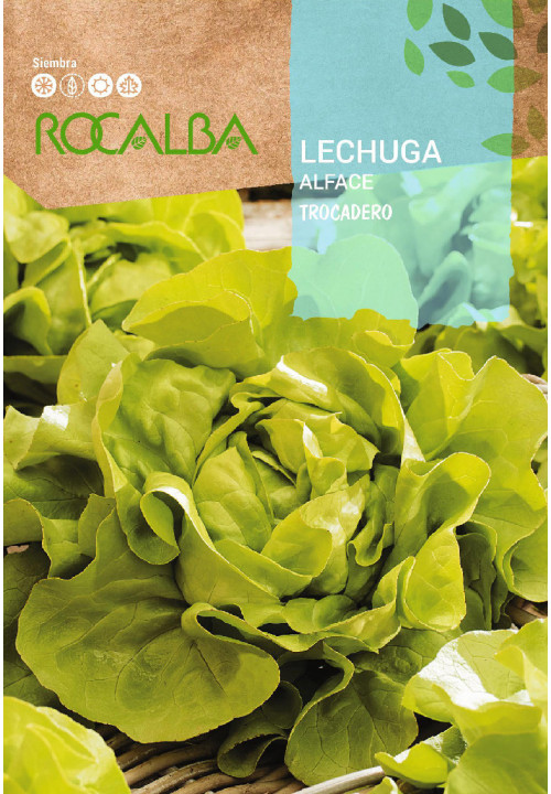 LECHUGA Trocadero