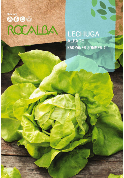 LECHUGA Kagraner sommer 2