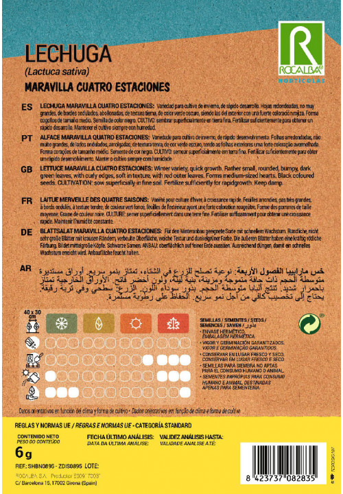 ALFACE Maravilla cuatro estaciones