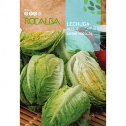 LECHUGA Sucrine