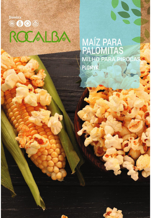 POPCORN Hibrido F-1 PLOMYK