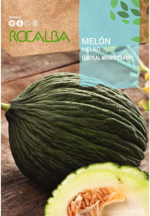 MELON Tendral negro tardio