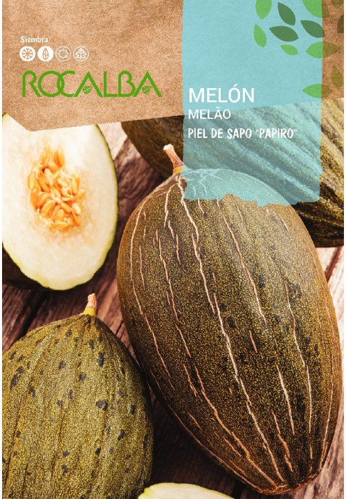 MELON Piel de sapo 'papiro'