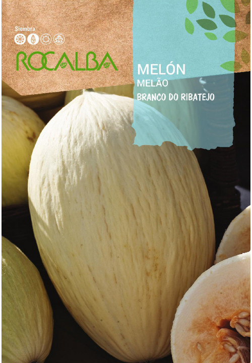 MELON Branco do ribatejo