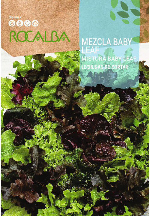 MEZCLA BABY LEAF Lechugas de cortar