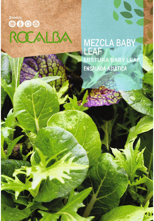 MEZCLA BABY LEAF Ensalada asiatica