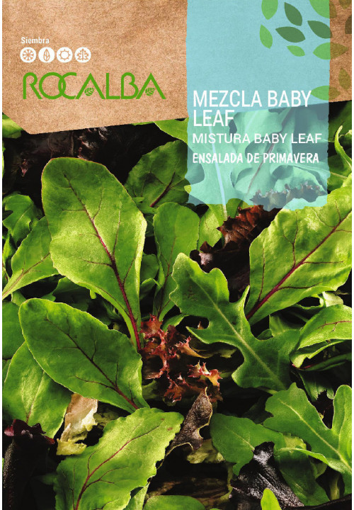 MEZCLA BABY LEAF Ensalada de primavera