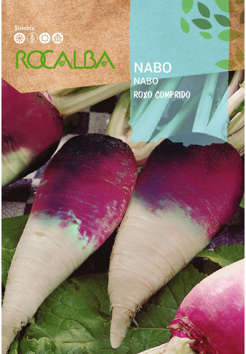 NABO Roxo Comprido