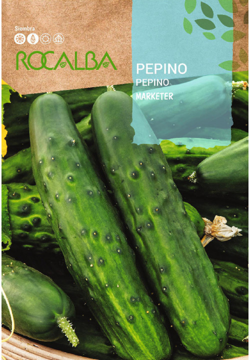 PEPINO Marketer