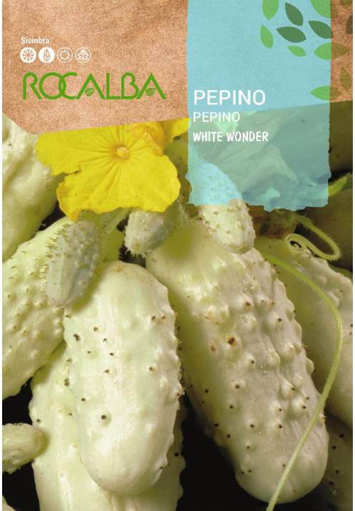 PEPINO White wonder