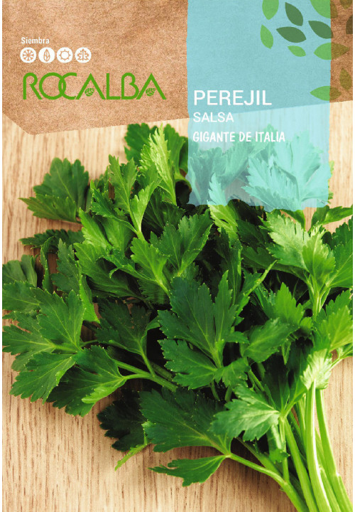 PARSLEY Gigante de Italia