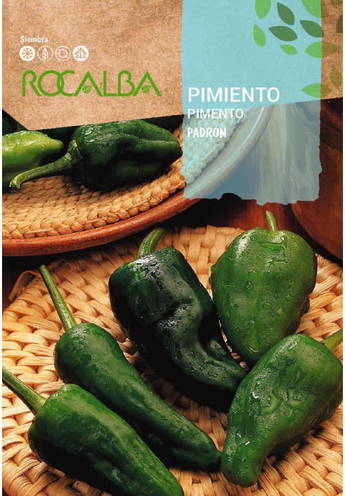 PIMIENTO Padron