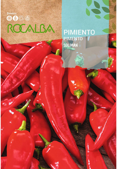 PIMENTO Soliman