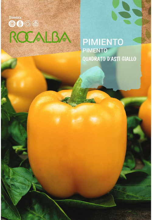 PIMENTO Quadrato d'asti Giallo