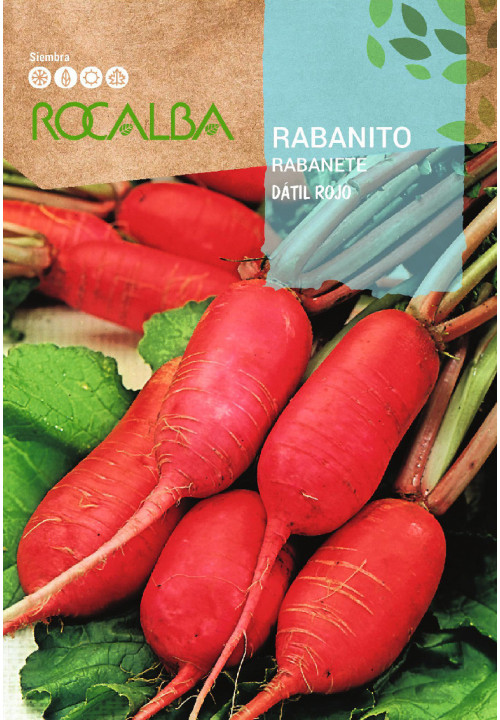 RABANITO Datil Rojo