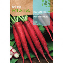 RADISH Largo Rojo Murciano