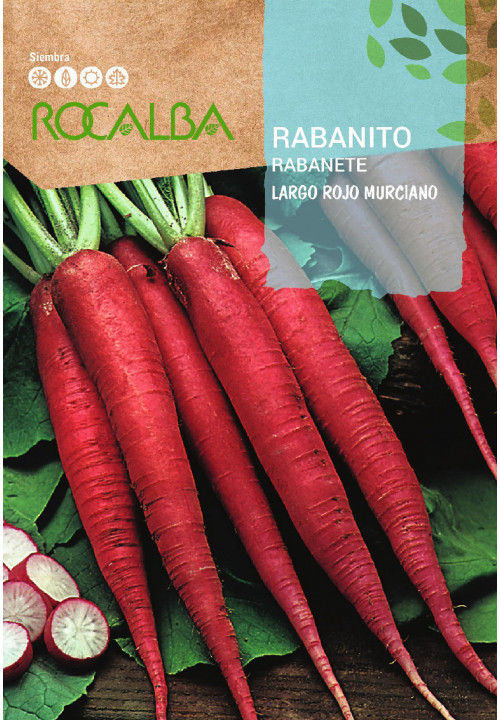 RABANETE Largo Rojo Murciano