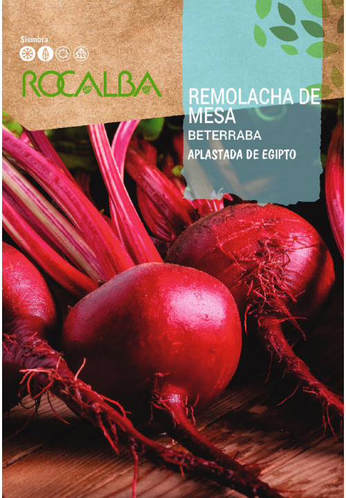 BEETROOT Aplastada de Egipto