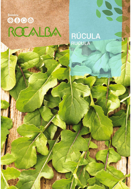 RUCULA 