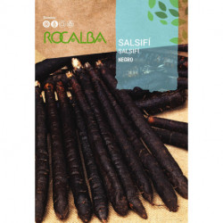 SALSIFY NEGRO