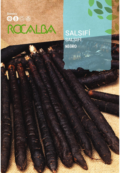 SALSIFY NEGRO