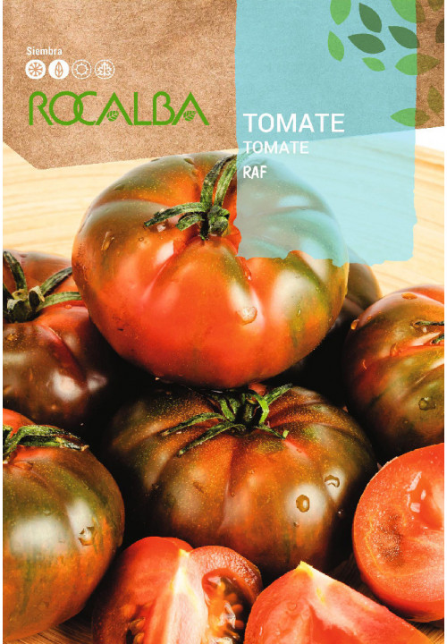 TOMATE Raf