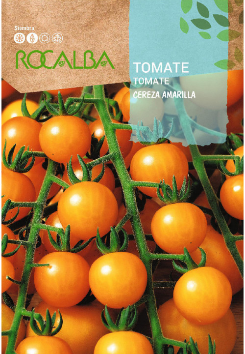 TOMATE CEREZA AMARILLA