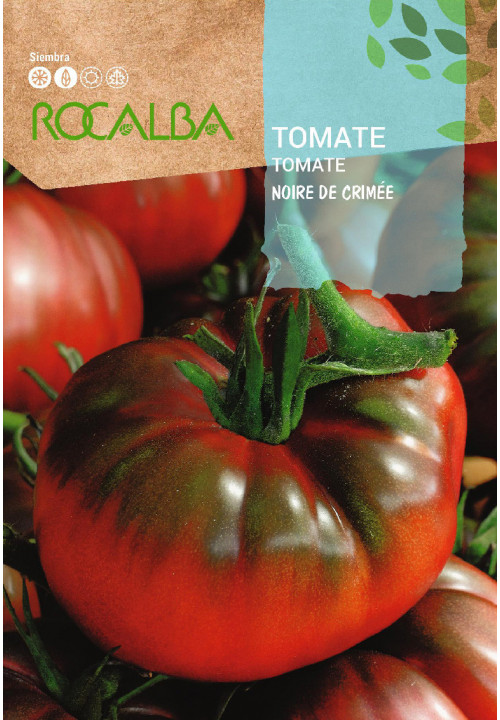 TOMATO NOIRE DE CRIMÉE