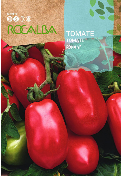 TOMATO Roma vf