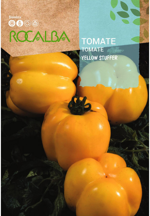 TOMATO Yellow stuffer