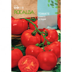 TOMATO De colgar