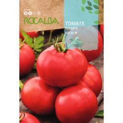 TOMATE Ace 55vf