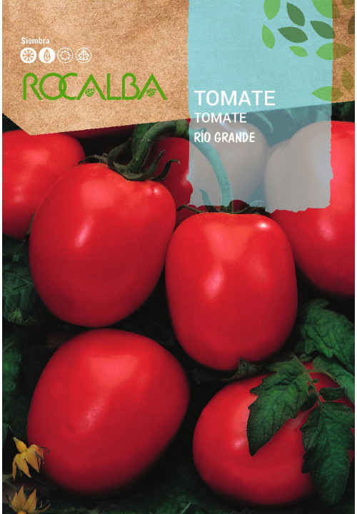 TOMATE Rio grande