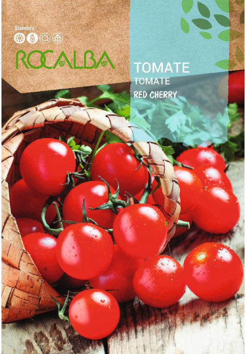 TOMATE Red Cherry
