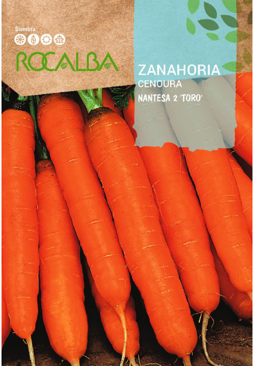 CARROT Nantesa 2 'TORO'