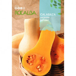 CALABAZA Butternut 