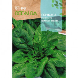 SPINACH Gigante de invierno