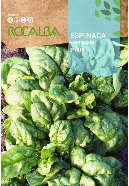 SPINACH Sevilla