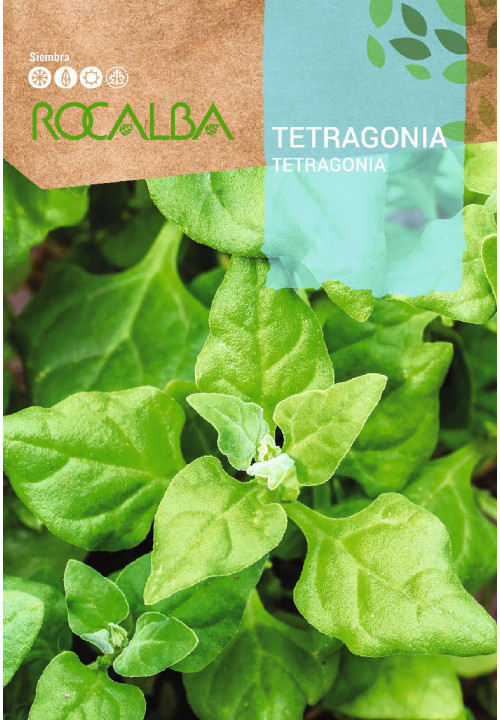 TETRAGONIA 