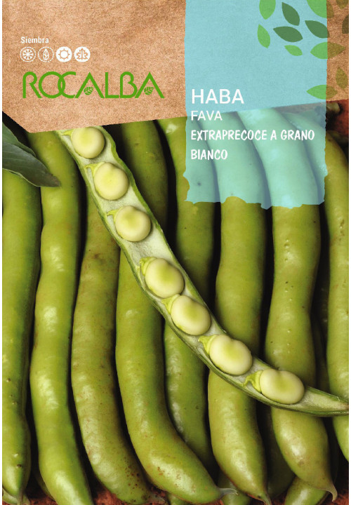 FAVA Extraprecoce a grano bianco