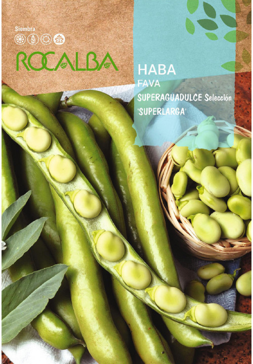 BROAD BEAN Superaguadulce