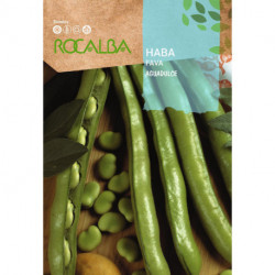 FAVA Aguadulce