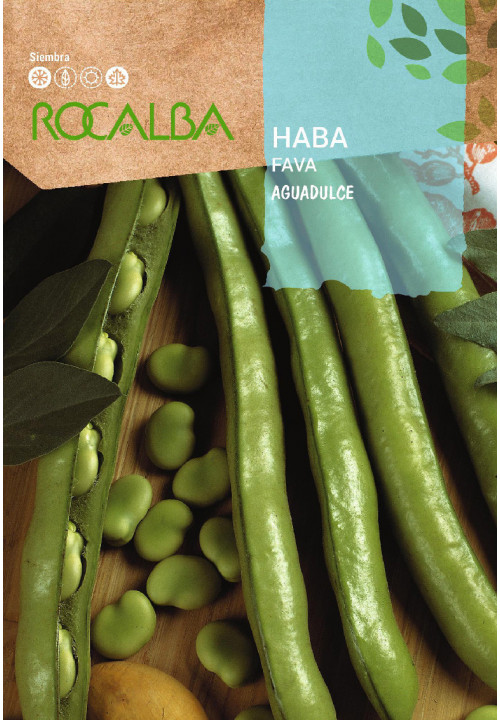 FAVA Aguadulce