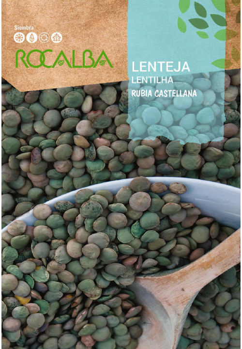 LENTILHA Rubia Castellana