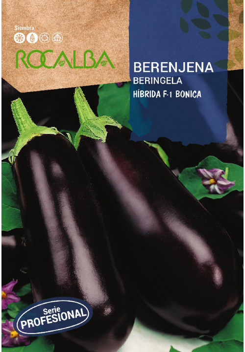 Berenjena Negra de Barbentane