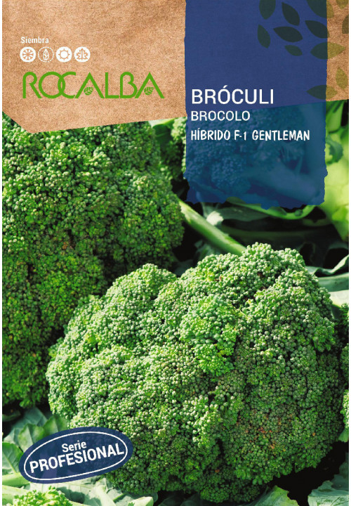 BROCULI HIBRIDO F-1 GENTLEMAN